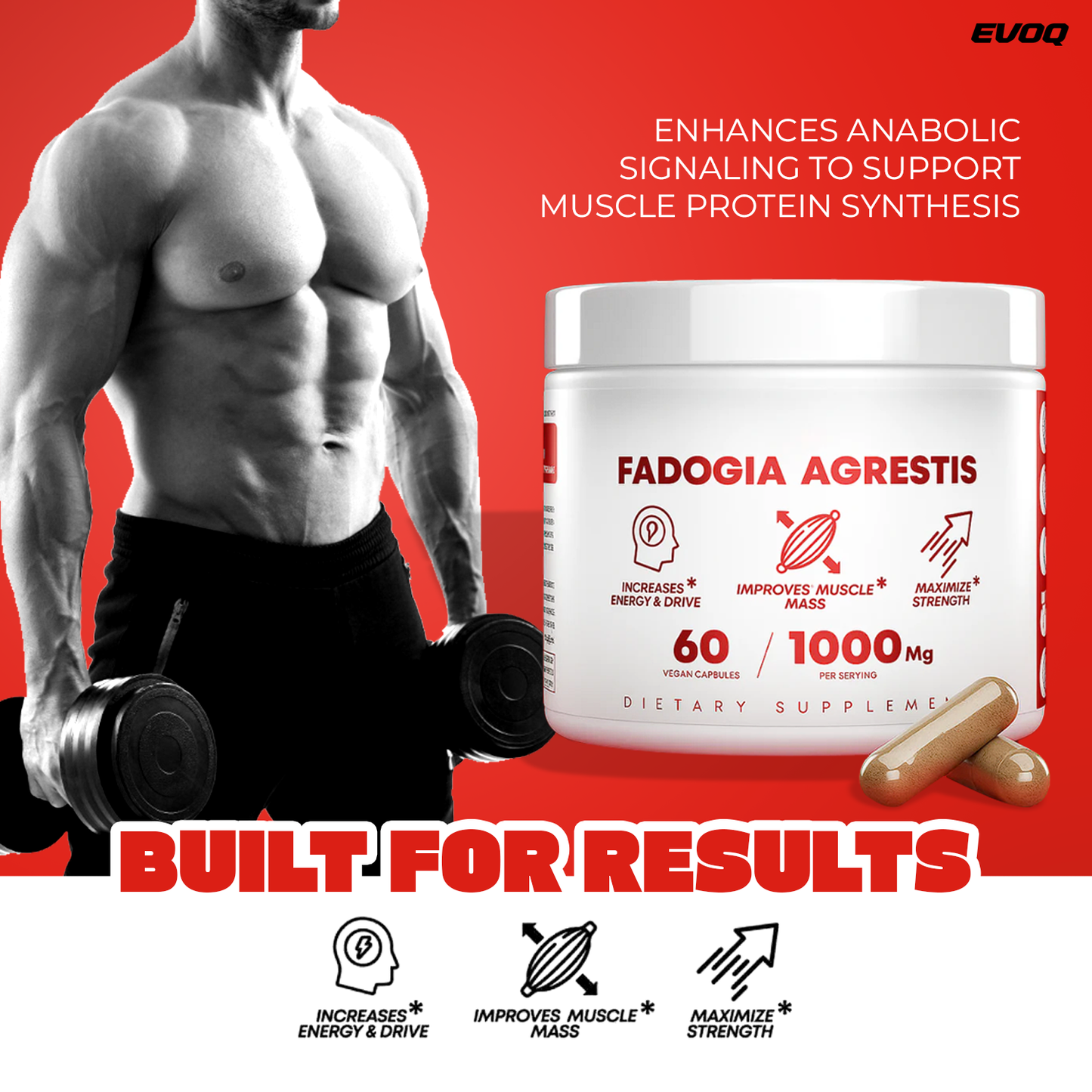 Fadogia Agrestis — Restore Strength, Energy & Drive Naturally