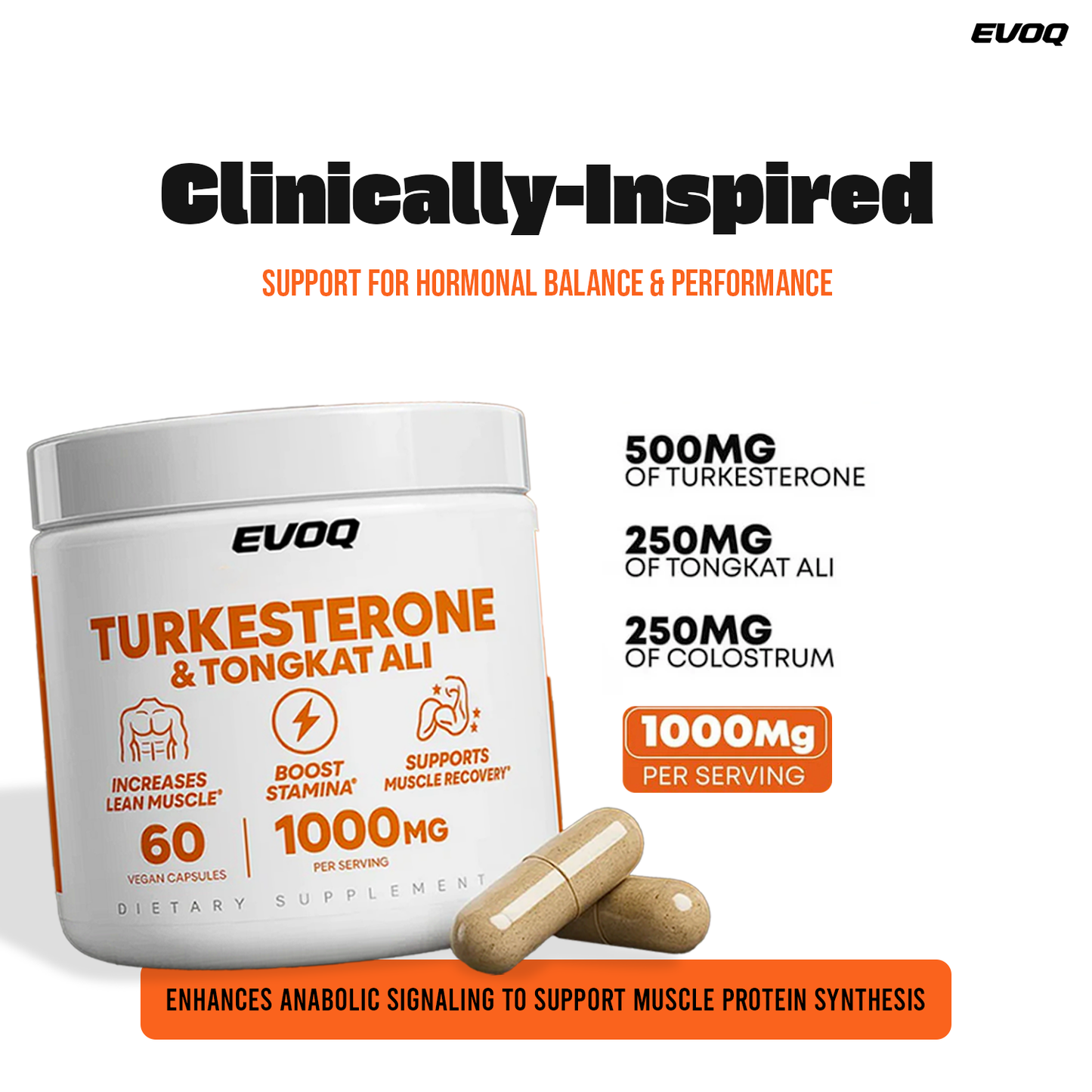 Turkesterone + Tongkat Ali — Train Hard. Feel Strong Again Naturally.