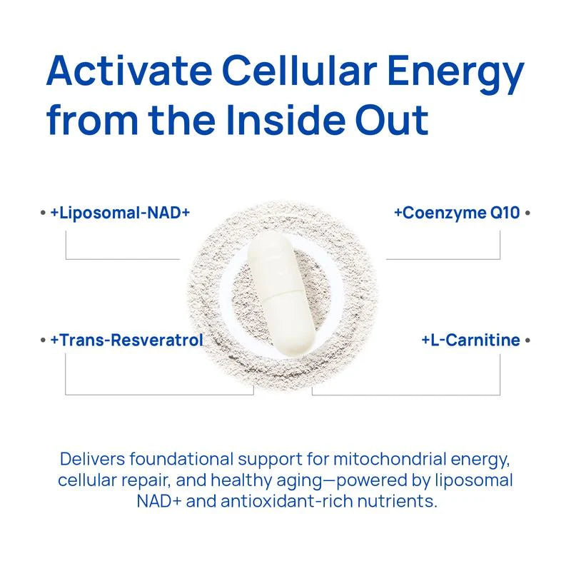Liposomal NAD+ supplement