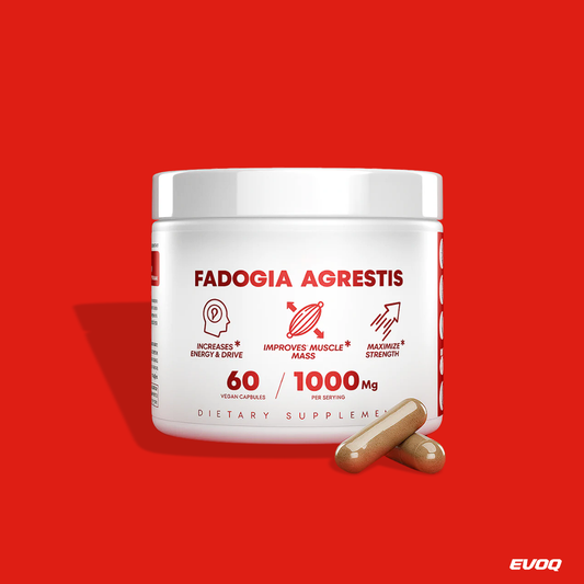 Fadogia Agrestis — Restore Strength, Energy & Drive Naturally