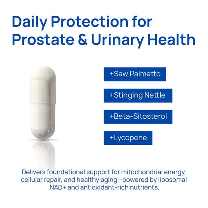 Liposomal NAD+ supplement