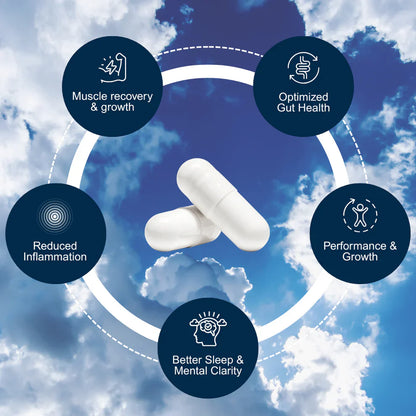 BPC-157 — Daily Recovery & Performance Support